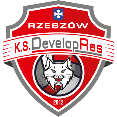 ks_developres_rzeszow_2017_logo.png